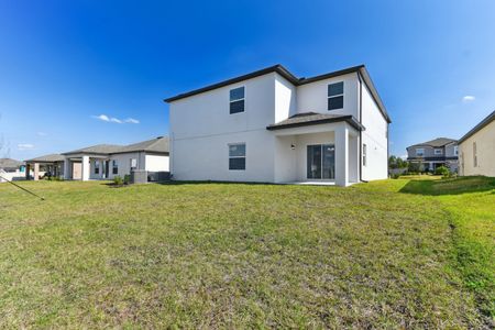 New construction Single-Family house 12219 Hilltop Farms Dr, Dade City, FL 33525 Malibu- photo 267 267