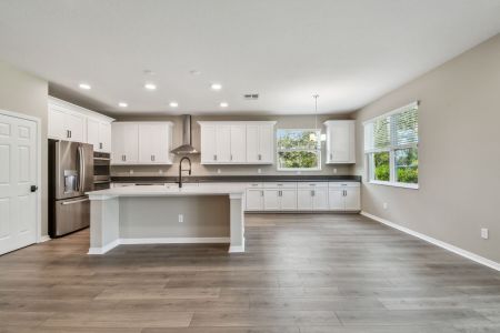 New construction Single-Family house 20219 Oriana Loop, Land O' Lakes, FL 34638 Corina  III- photo 118 118