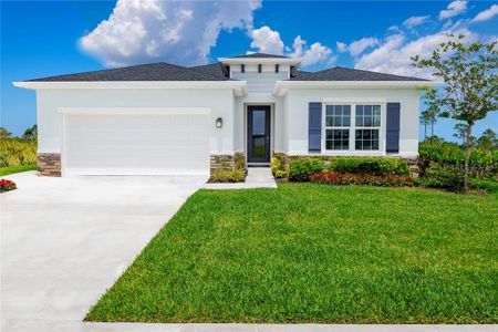 New construction Single-Family house 10008 Zennia Ln, Parrish, FL 34219 null- photo 0