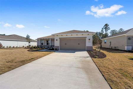 New construction Single-Family house 10020 Sw 106Th Cir, Ocala, FL 34481 - image