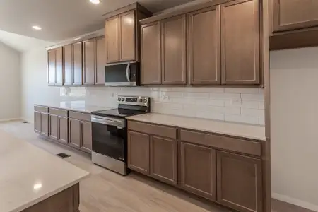 New construction Single-Family house 734 Trumpet Ct, Windsor, CO 80550 plan Morrison - image 7