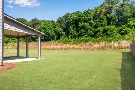 New construction Single-Family house 237 Cherokee Rose Ln, Hoschton, GA 30548 plan The Chelsea - image 3