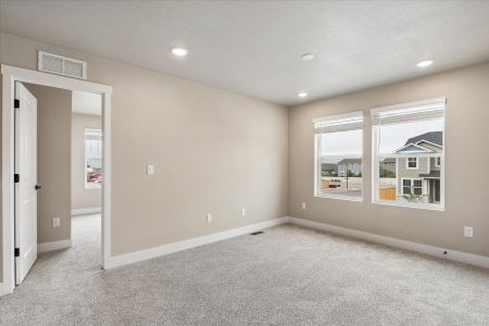 New construction Single-Family house 7716 Clear Amber, Colorado Springs, CO 80908 plan Boxelder - image 15