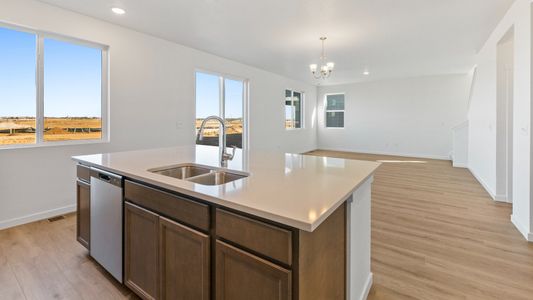 New construction Single-Family house 1448 Boyle St, Windsor, CO 80550 plan Kensington - image 11