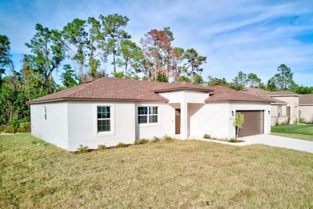 New construction Single-Family house 8724 Capilla St, Sebring, FL 33872 - image