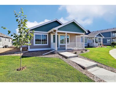 New construction Single-Family house 4306 Primrose Ln, Evans, CO 80620 - image 15