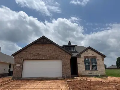 New construction Single-Family house 1224 Colca Dr, Springtown, TX 76082 - image