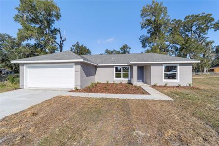 New construction Single-Family house 276 Malauka Road, Ocklawaha, FL 32179 - photo 0