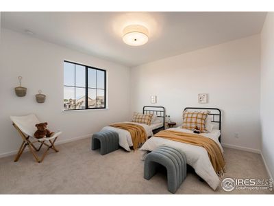 New construction Single-Family house 743 Little Leaf Dr, Windsor, CO 80550 plan Fairplay - image 12