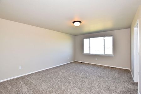 New construction Single-Family house 437 Vivid Ln , Evans, CO 80634 - photo 35 35