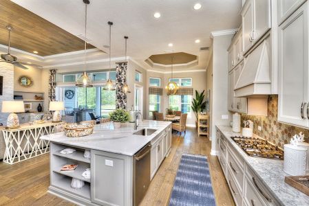 Tidewater by ICI Homes in Jacksonville - photo 30 30