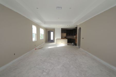 New construction Single-Family house 20339 Oriana Loop, Land O' Lakes, FL 34638 Newport II- photo 74 74