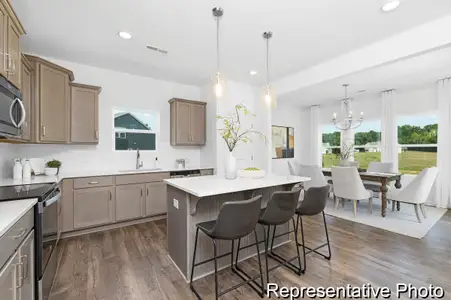 New construction Single-Family house 1518 Autumn Banks Wy, High Shoals, NC 28077 plan The Ryker - image