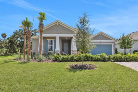 New construction Single-Family house 7438 Sea Manatee St, Palmetto, FL 34221 null- photo 0 0