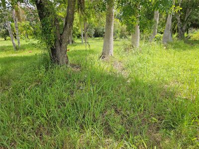 New construction Single-Family house xxx 21St Ave Se, Ruskin, FL 33570 - image