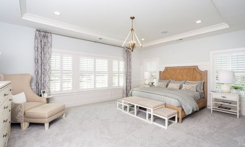 New construction Single-Family house 19407 Youngblood Rd W, Charlotte, NC 28278 plan Coronado - image 19