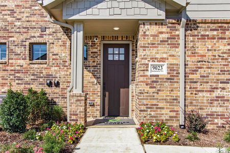 New construction Townhouse house 4623 Hawks Trl, Oak Point, TX 75068 - image