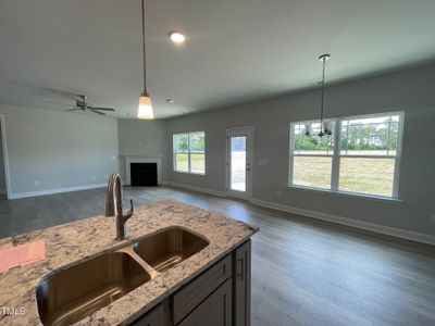 New construction Single-Family house 9211 Byron Court, Unit Lot 199, Bailey, NC 27807 - photo 10 10