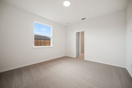 New construction Single-Family house 168 Rieber Rd, Kyle, TX 78640 plan Paintbrush - image 11