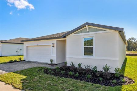New construction Single-Family house 823 Sunshower Dr, Lady Lake, FL 32159 plan Foxglove - image