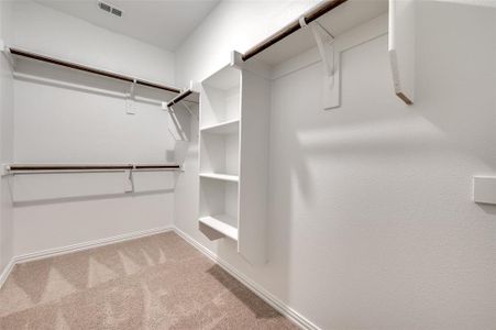 New construction Single-Family house 3209 Layla Creek Dr, Little Elm, TX 75068 Allegro- photo 14 14