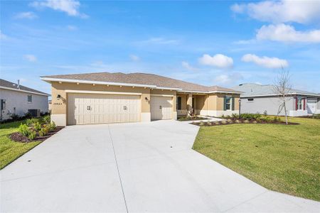 New construction Single-Family house 10023 Sw 106Th Cir, Ocala, FL 34481 - image