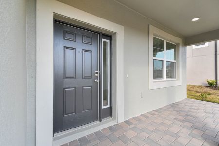 New construction Single-Family house 38433 Pindos Dr, Dade City, FL 33525 Mira Lago- photo 183 183