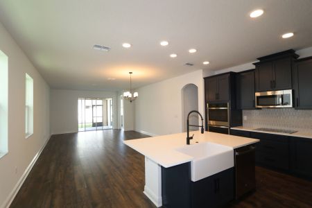 New construction Single-Family house 33227 Amling Pecan Br, Wesley Chapel, FL 33545 Newport II- photo 77 77