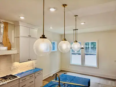 New construction Single-Family house 83 Black Bear Ct, Chapel Hill, NC 27516 - image 3