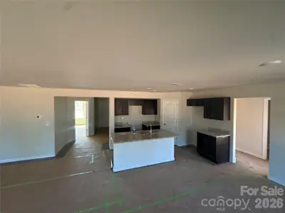 New construction Single-Family house 1007 Mt Pleasant Church Rd, Mooresboro, NC 28114 - image