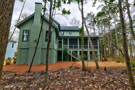 New construction Single-Family house 1632 John Fenwick Ln, Johns Island, SC 29455 - image 4