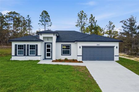 New construction Single-Family house 2861 W Dellwood St, Dunnellon, FL 34433 - image