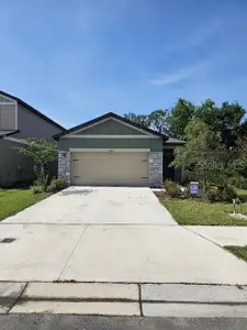 New construction Single-Family house 10607 Ladybug Cv, Parrish, FL 34219 - image