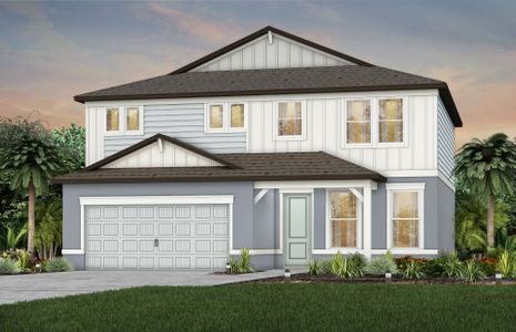 New construction Single-Family house 20876 Drake Elm Dr, Land O' Lakes, FL 34638 null- photo 0 0