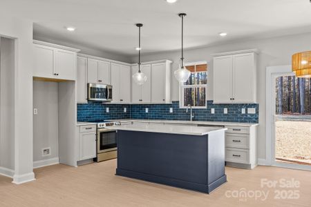 New construction Single-Family house 2295 Lee Lawing Rd, Lincolnton, NC 28092 - image 6