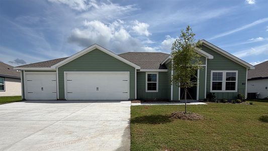 New construction Single-Family house 401 American Elm Dr, Josephine, TX 75173 plan Alice - image