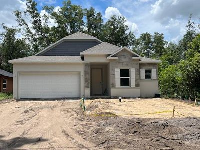 New construction Single-Family house 25122 Ensley Rd, Sorrento, FL 32776 - image