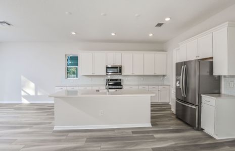 Designer Kitchen with Large Island