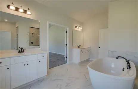 New construction Single-Family house 194 Buffalo Trce, Stockbridge, GA 30281 plan Henry II - image