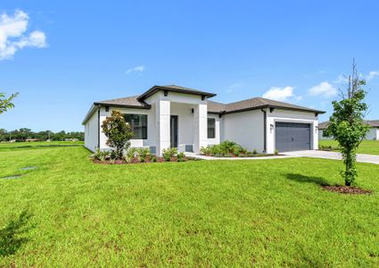 Lake Gallagher Estates by LGI Homes in Dover - image