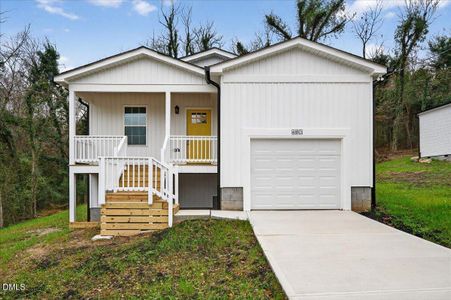 New construction Single-Family house 403 Ridley St, Louisburg, NC 27549 - image