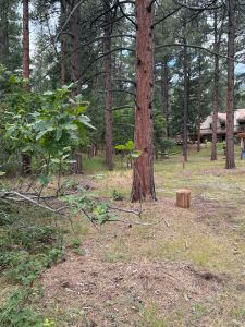 New construction Single-Family house 5028 Crow Dr, Larkspur, CO 80118 - image