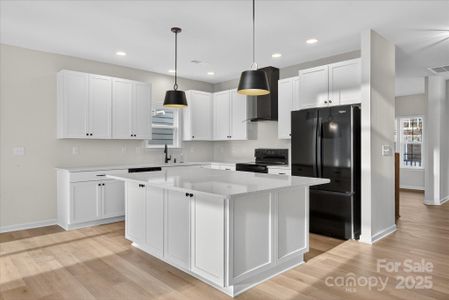 New construction Single-Family house 18024 Wilbanks Dr, Charlotte, NC 28278 plan Savannah - image 10