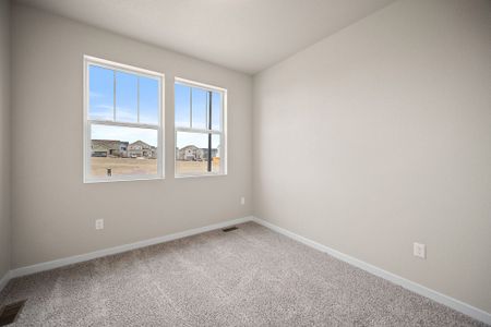 New construction Single-Family house 11924 Lost Peak Ln, Colorado Springs, CO 80925 plan Carnation - image 18