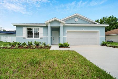 New construction Single-Family house 17 Powder Hill Lane, Palm Coast, FL 32164 - photo 0