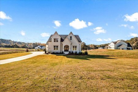 Brooks Pond by David Patterson Homes in Cumming - image 10