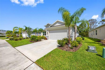 New construction Single-Family house 12739 Rainwashed Lp, Parrish, FL 34219 - image