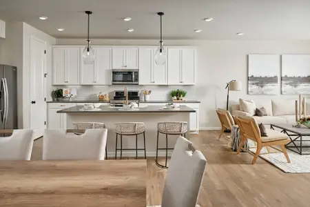 New construction Duplex house 445 Clara Ct, Longmont, CO 80501 plan 3 - image 5