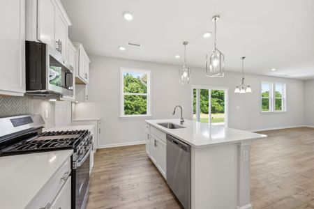 New construction Single-Family house 64 Peach Grove Wy, Lillington, NC 27546 plan The Hawthorne - image 10
