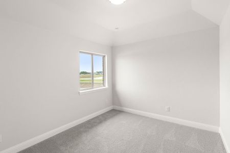 New construction Single-Family house 5204 Picasso Rd, Royse City, TX 75189 plan Newport - image 19